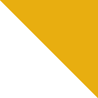 yellow square LG TRRIP 29