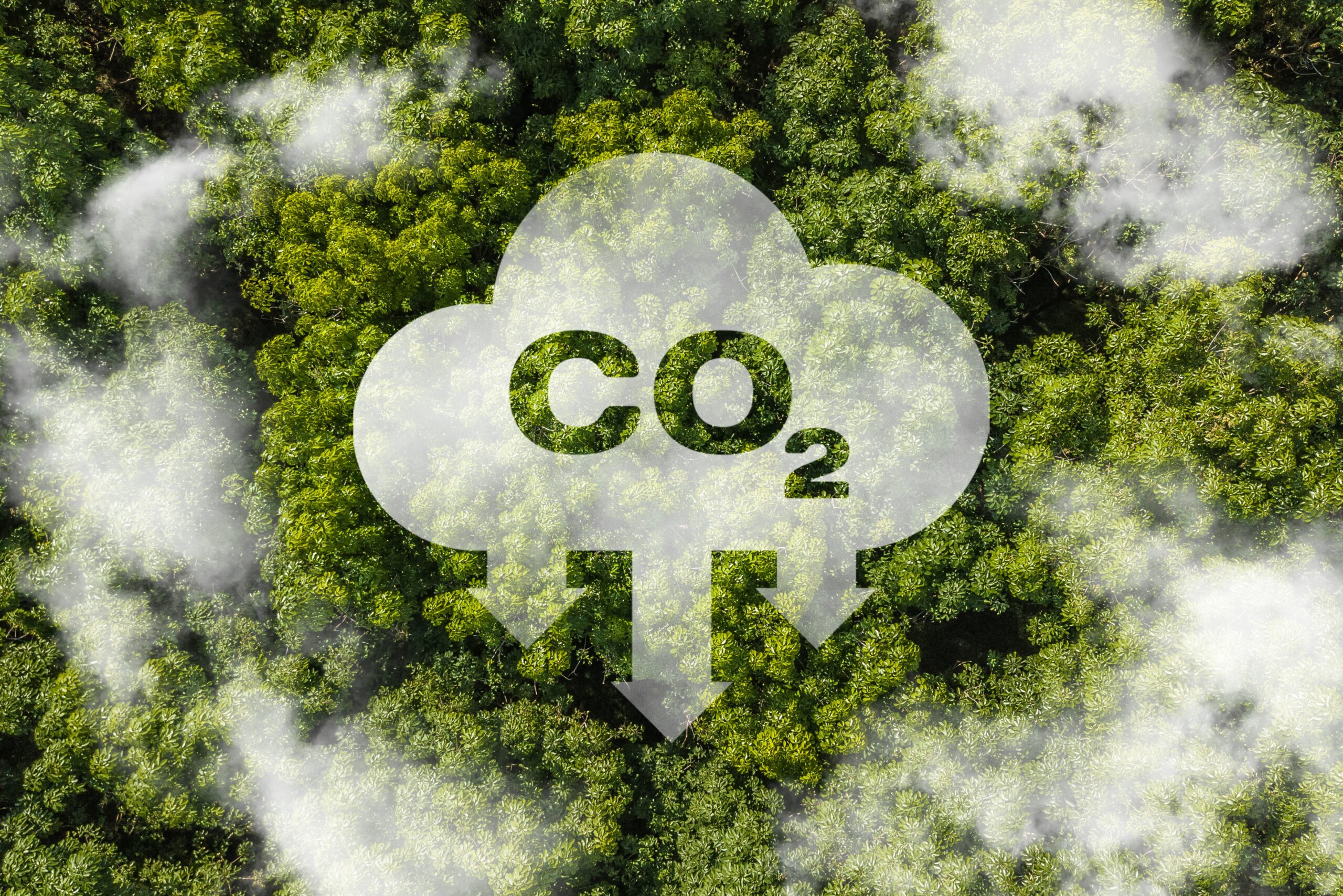 Decarb shutterstock 2340557147 scaled Evaluating Decarbonisation Performance in road infrastructure 5
